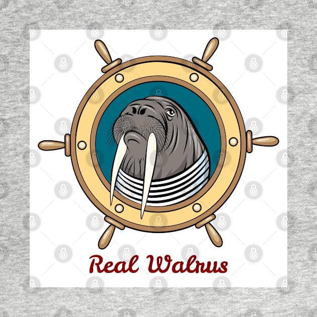 Walrus in seaman shirt against steering wheel drawn in cartoon style. by devaleta